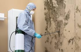 Mold Odor Removal Services in Broadmoor, CA